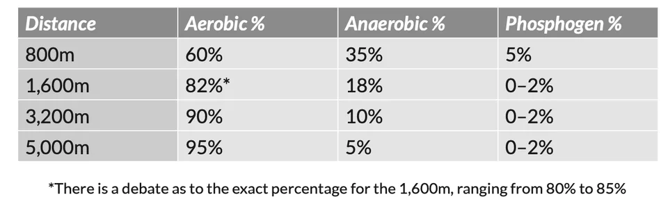 Energy contribution by race distance: aerobic share rises from 60% for 800m to 95% for 5,000m. The table estimates 82% for 1,600m and notes an 80–85% range.